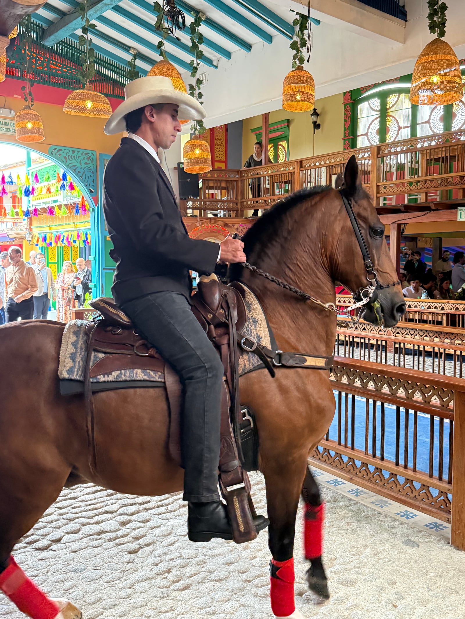 A rider on a Paso Fino horse inside a grand wooden library in Medellín.