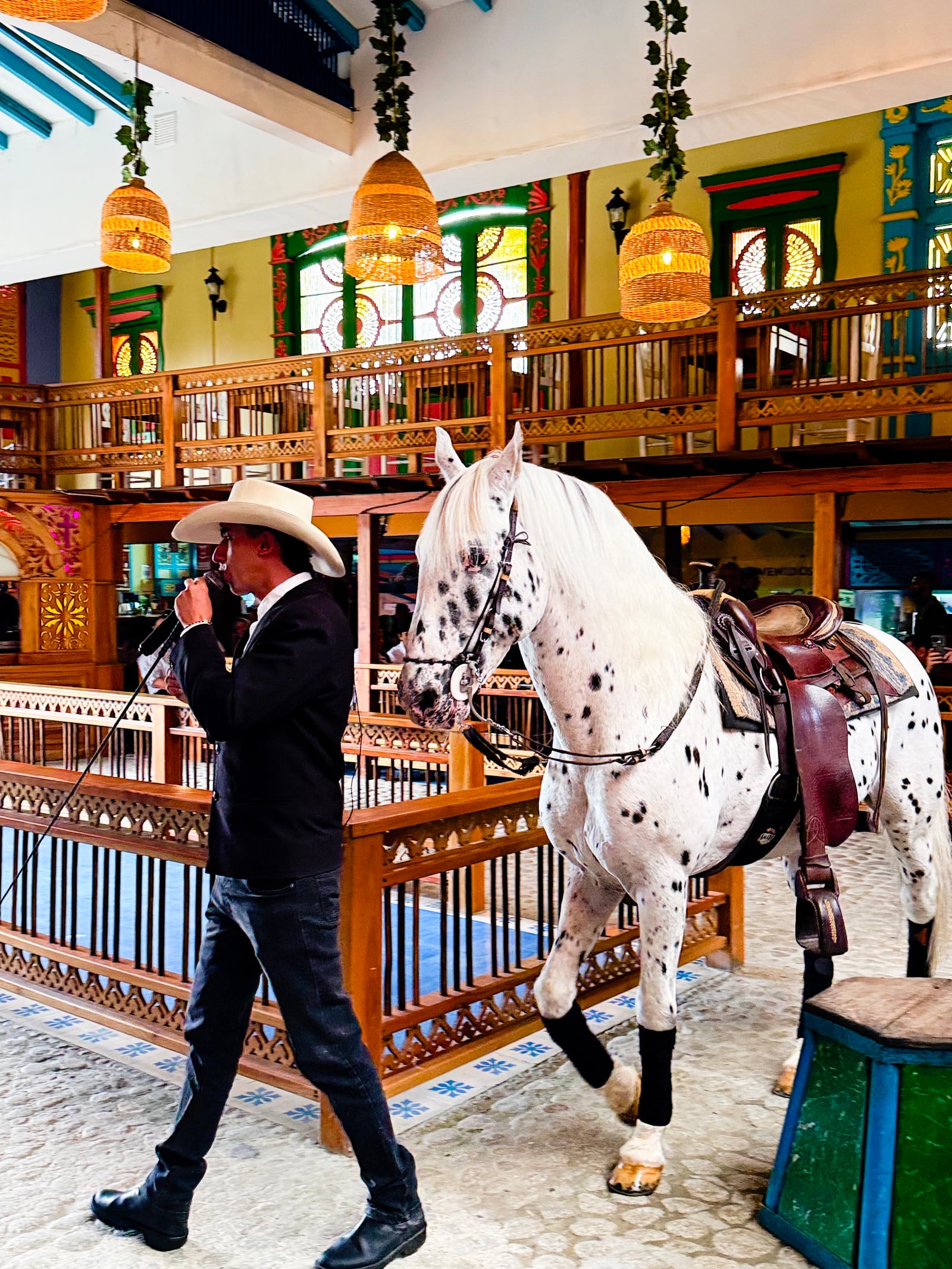A singer in a cowboy hat beside an Appaloosa horse inside a wooden library in Medellín.